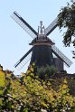 IMG_1369