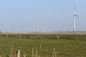 IMG_0049