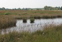 IMG_2022