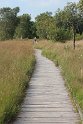 IMG_2025