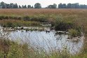 IMG_2027