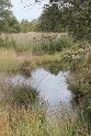 IMG_2028