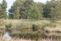 IMG_2029