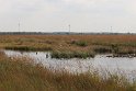 IMG_2031