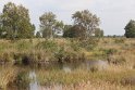 IMG_2035
