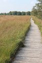 IMG_2039