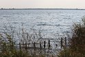 IMG_2052