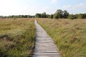 IMG_2069