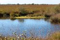 IMG_5712_K