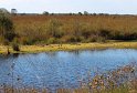 IMG_5714_A