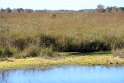 IMG_5716_K
