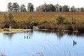IMG_5717_A