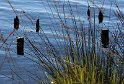 IMG_5727_A