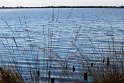 IMG_5728_A