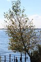 IMG_5730__
