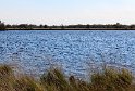 IMG_5733_A