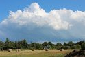 IMG_1527