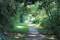 IMG_1785