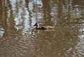 IMG_1789