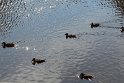IMG_1793