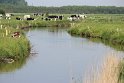 IMG_0782