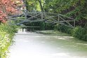 IMG_0832