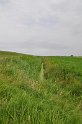 IMG_0995_DSC_0038