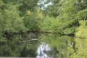 IMG_1153