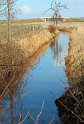 IMG_3497_B