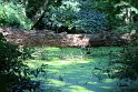 IMG_5030_