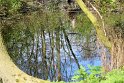 IMG_5346_A