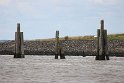 IMG_1674