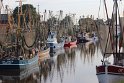 IMG_1906