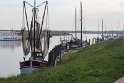 IMG_1908