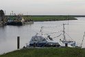 IMG_1931