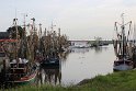 IMG_1946
