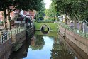 IMG_1950