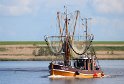 IMG_3784_B