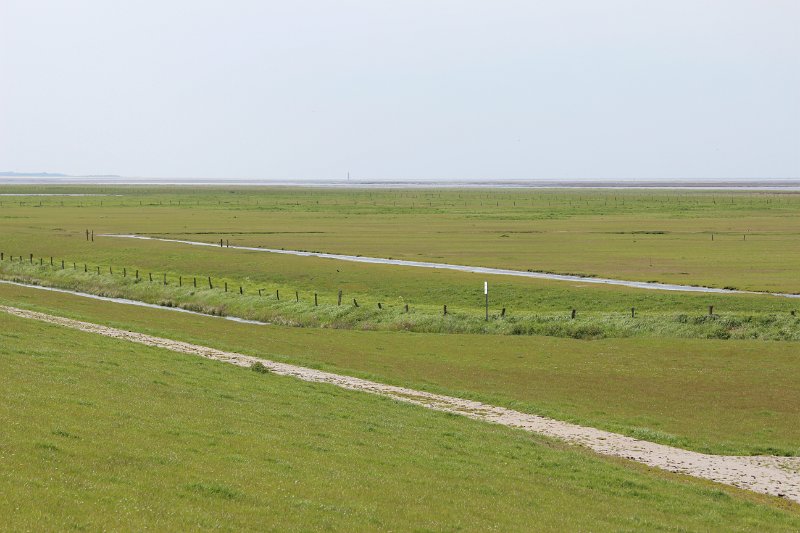 slide photo