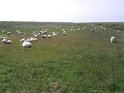 Foto0061