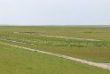 IMG_0311