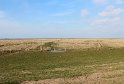 IMG_4429_A