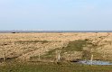 IMG_4430_A
