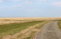 IMG_4431_A