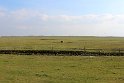 IMG_4433_A