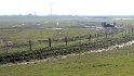 IMG_4435_A