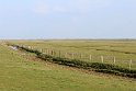IMG_4436_A