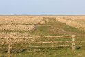 IMG_4437_A