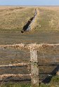 IMG_4440_A