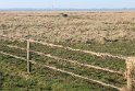 IMG_4441_A